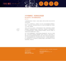 品牌管理 構建與維護企業(yè)核心競爭力的關鍵