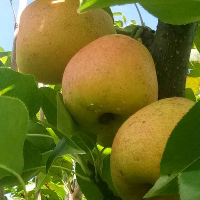 寧蒗縣電子商務(wù)公共服務(wù)中心 聚焦高原特色優(yōu)質(zhì)農(nóng)產(chǎn)品，發(fā)布供求信息與商務(wù)咨詢服務(wù)